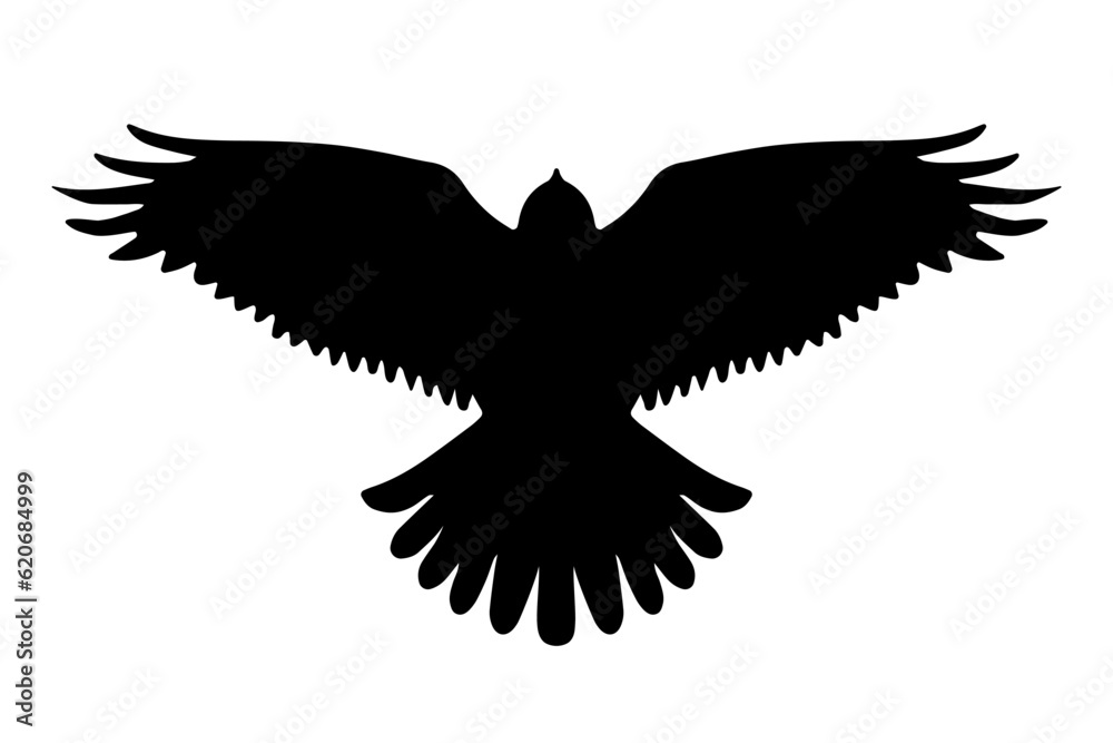 Obraz premium Bird of prey flying silhouette isolated. Vector illustration