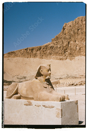 Sphinx at Hapshetsut temple photo