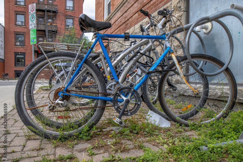 A row of rusty bicycles in a bike rack on a weedy sidewalk, nobody
