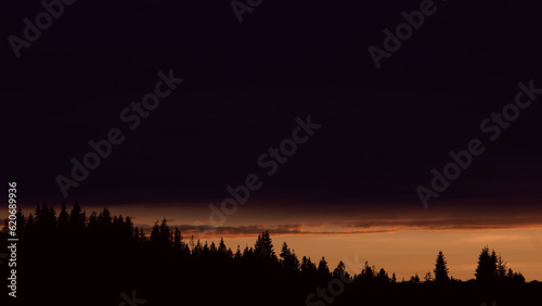 Silhouettes of trees at sunset