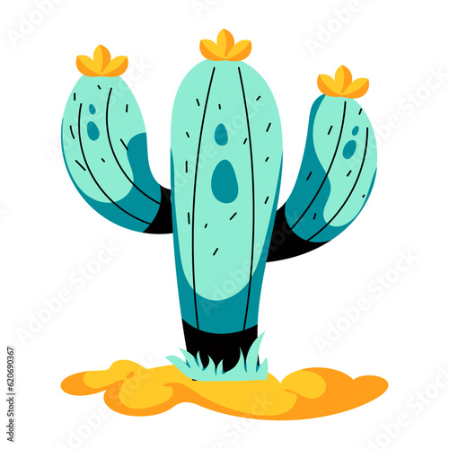 Desert Plant 