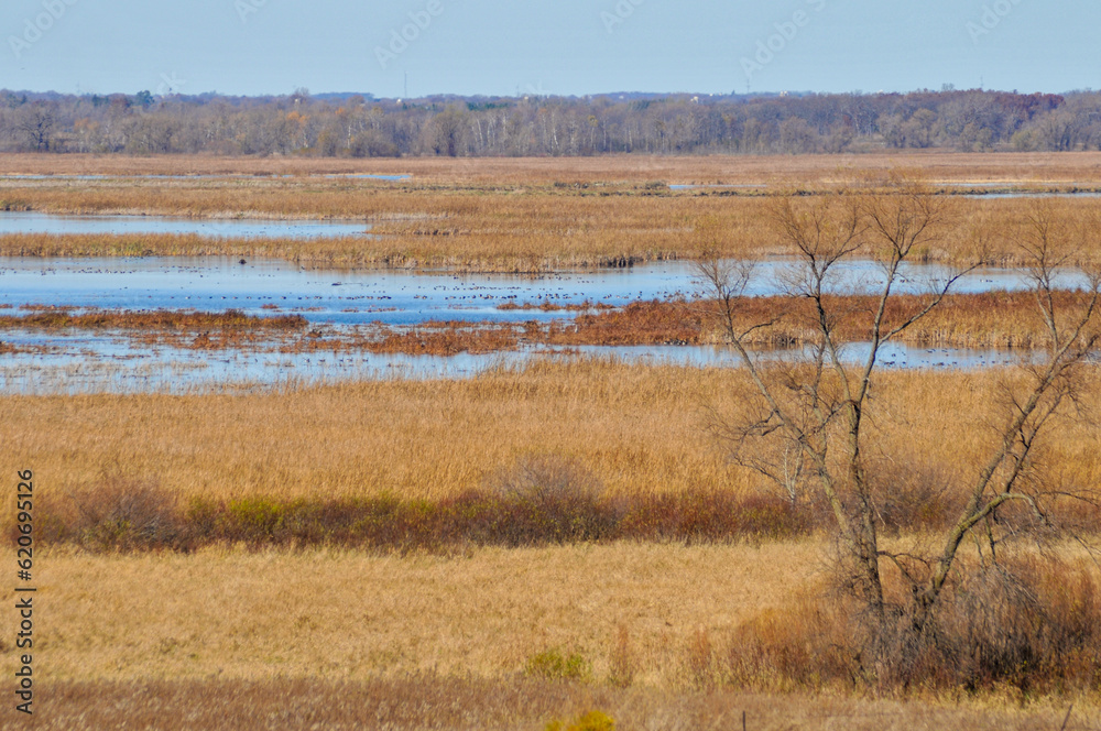 Horicon Marsh State And National Wildlife Refuge Near Horicon, Wisconsin Horicon Marsh State And National Wildlife Refuge Near Horicon, Wisconsin