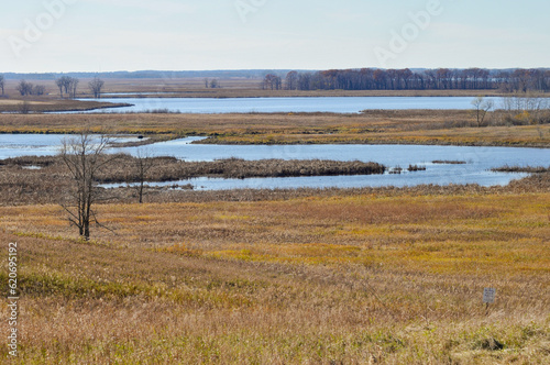 Horicon Marsh State And National Wildlife Refuge Near Horicon  Wisconsin