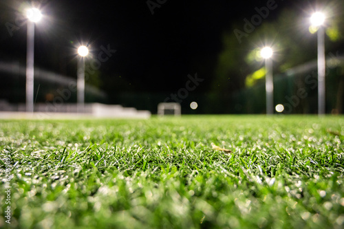 Green grass field background for soccer and football sports, volleyball. Green lawn pattern and texture background. Close-up image © Jurii