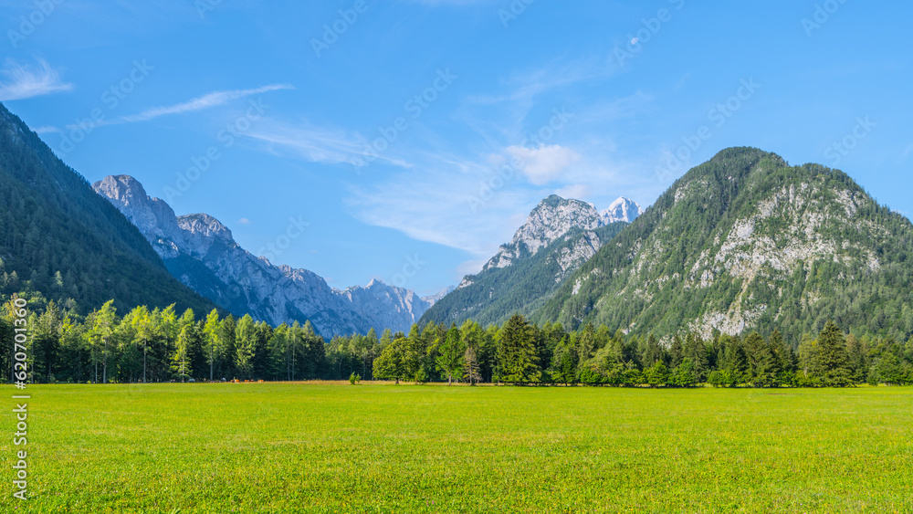 View of the Krma Valley on a sunny summer day. Grassy green pastures in the foreground and breathtaking peaks of the Julian Alps on background. Triglav National Park, Slovenia