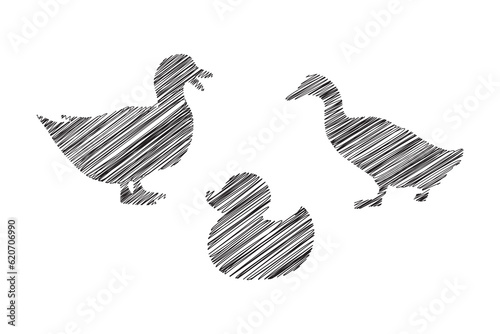 hand drawn scribble duck line style illustration design, duck illustration pencil sketch, three duck hand drawn