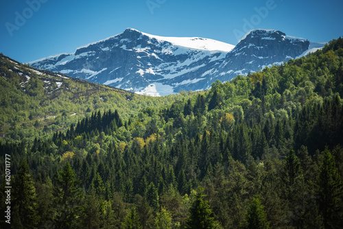 Sunny Norwegian Mountainscape Panorama © Tomasz Zajda
