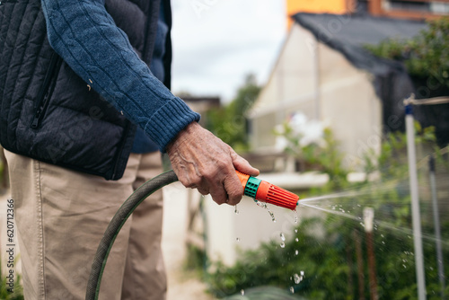Unrecognizable senior man watering plants in an urban garden photo