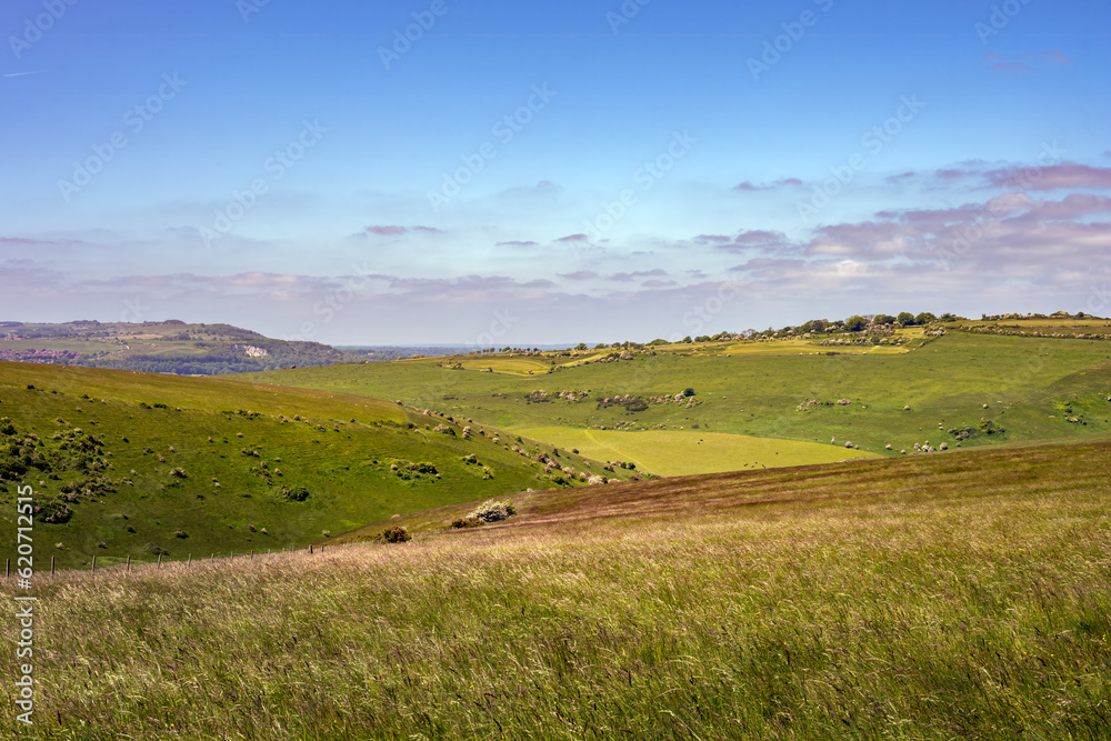 View of Malling Down nature reserve, East Sussex, England