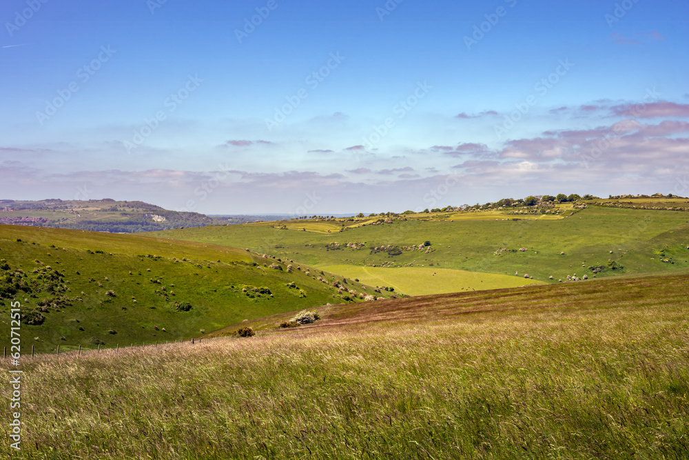 View of Malling Down nature reserve, East Sussex, England View of Malling Down nature reserve, East Sussex, England