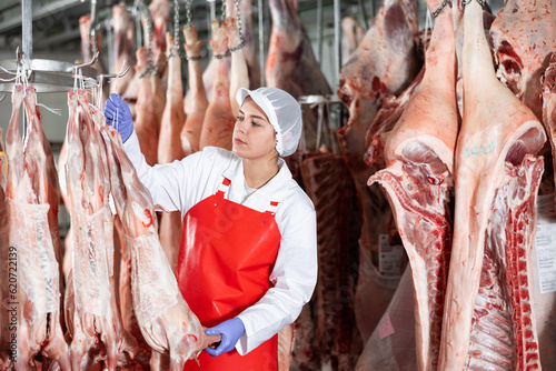 Positive interested young female butcher working in chilling room of meat processing factory, checking raw lamb carcasses hanging on hooks © JackF