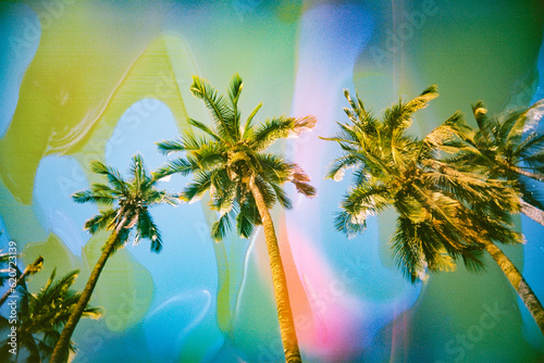 colorful maui scenery with brightly colored palm trees 