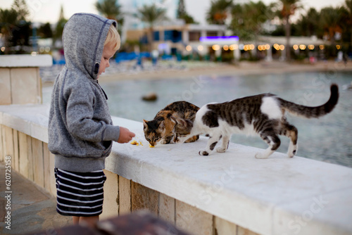 BOY AND CATS photo