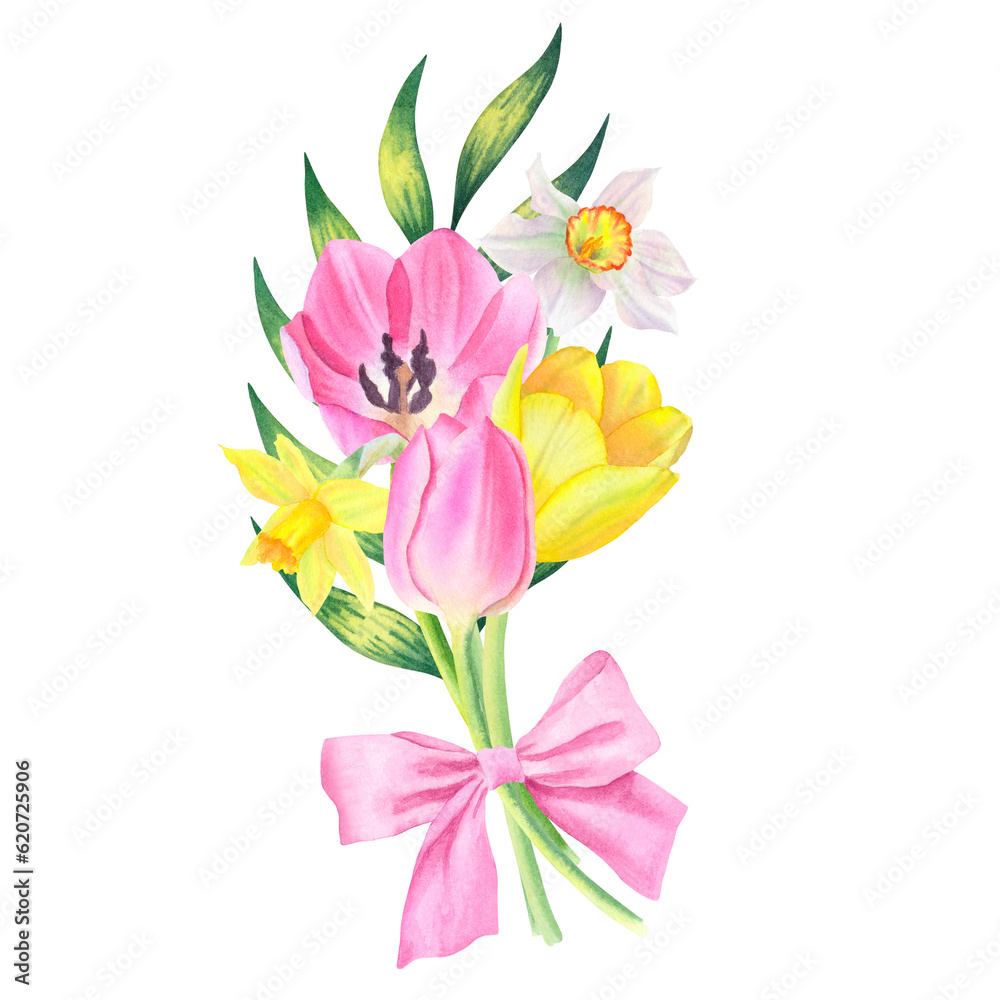 Flower bouquet of leaf, tulips and daffodils isolated on transparent background. Hand drawn watercolor. Design element. For cards, wedding invitations, mother's day, birthday, valentine's day, March 8