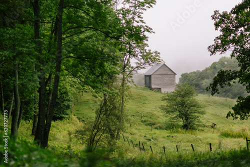 Vermont  Landscape lone barn in morning mist 