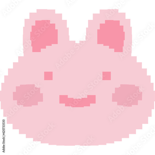 BunnyPink