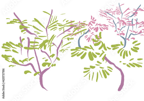 transparent branches  floral textures  surface pattern  botanical marks  line art  drawing of branches  leaves  foliage