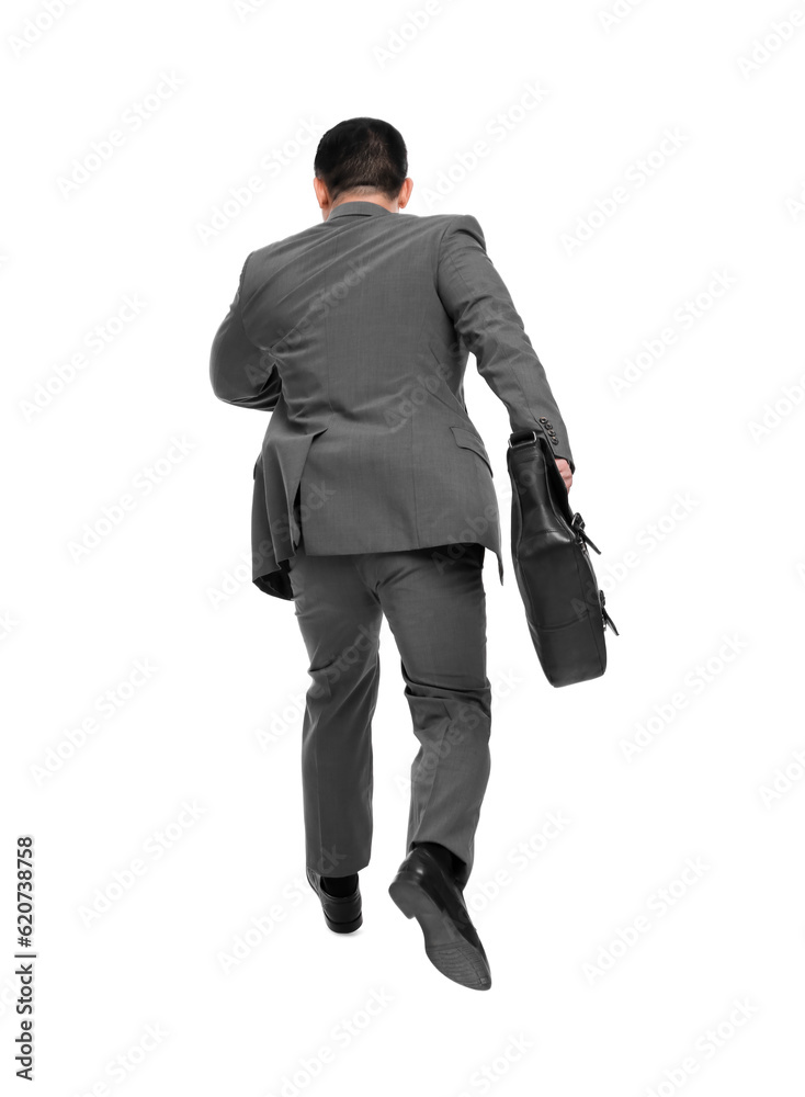 Businessman with briefcase running on white background, back view