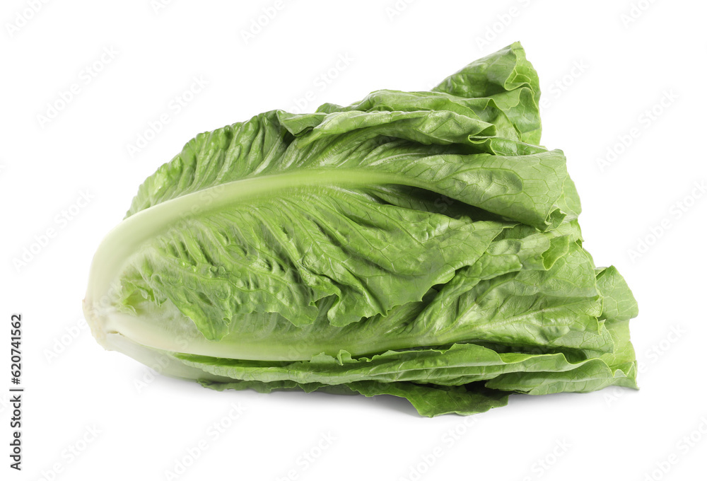 Fresh green romaine lettuce isolated on white Fresh green romaine lettuce isolated on white