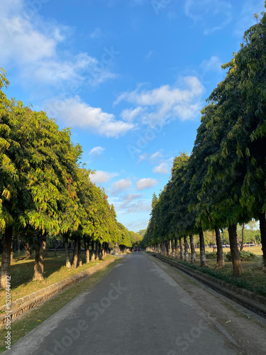 Queit Street in sunny day with green tree