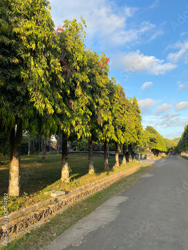 Queit Street in sunny day with green tree