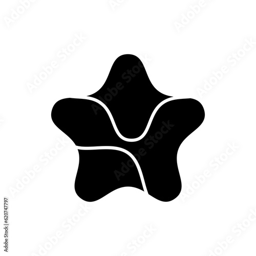 Star silhouette icon, unique vector illustration in trendy style. Editable graphic resources for many purposes.