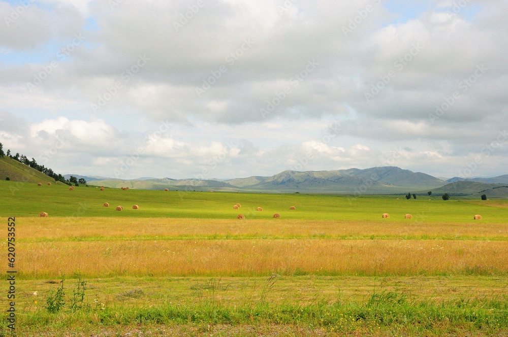 Mowed yellowed grass in the endless steppe at the foot of a ridge of high hills under a summer cloudy sky.