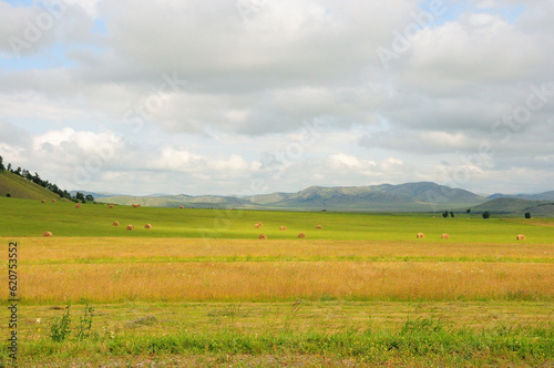 Mowed yellowed grass in the endless steppe at the foot of a ridge of high hills under a summer cloudy sky.