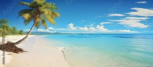 A beautiful palm tree stands on a tropical island beach against a background of blue sky with white clouds and turquoise ocean on a sunny day. Made with Generative AI technology © mafizul_islam