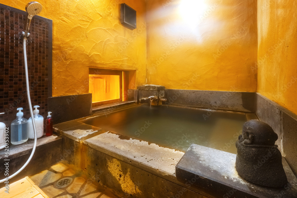 Japan Public Bath Vs Onsen