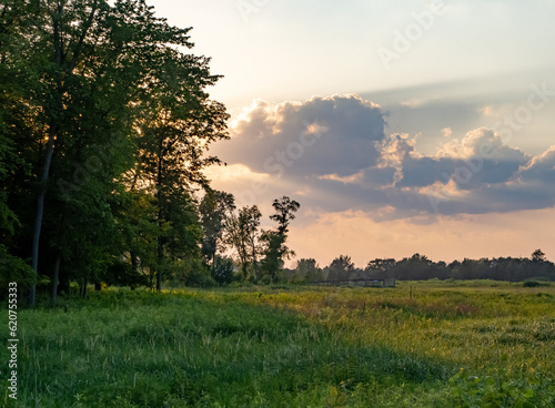 Wetland Prairie with Lush Grass and Cloudy Skies at Sunset