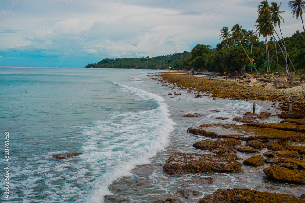 Fototapeta premium beach in the morning