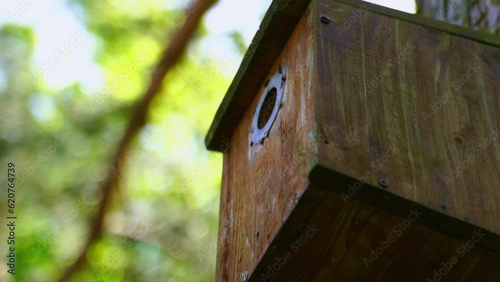 brown wooden bird house in nature on a tree brown wooden bird house in nature on a tree