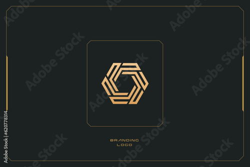 Hexagon Marketing Trading Networking Vector Logo Concept