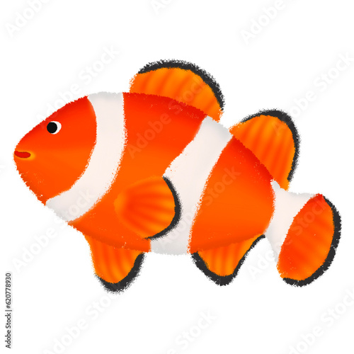 Nemo fish in the sea