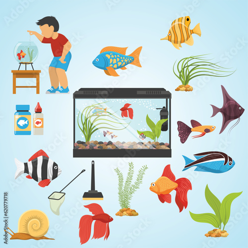 aquaristics aquarium fish set