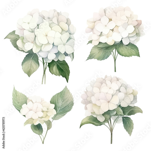 Obraz na plátne Set of white floral watecolor
