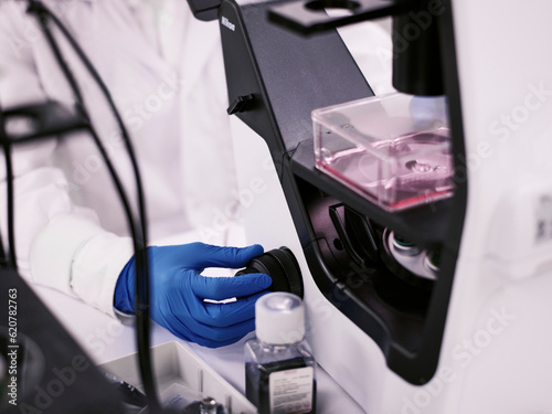 Scientist working in the laboratory 
