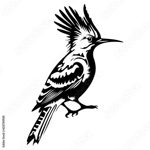 Eurasian hoopoe icon  Simple illustration of Eurasian hoopoe icon  bird glyph icon.