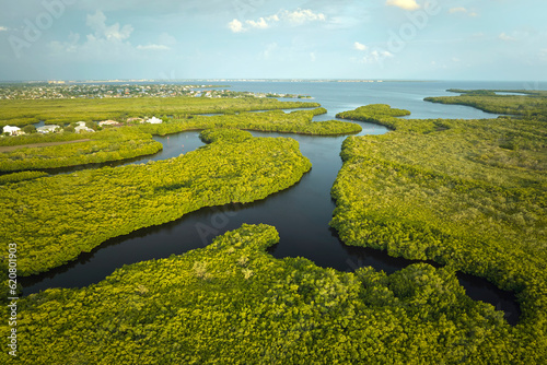 Photography Aerial view of Florida wetlands with green vegetation between ocean water inlets