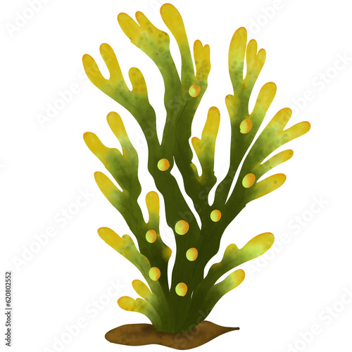 coral, green coral, undersea creatures, undersea, algae, undersea plants
