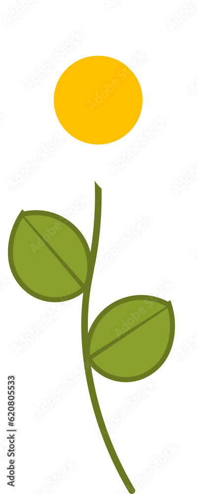 Beautiful flower illustration