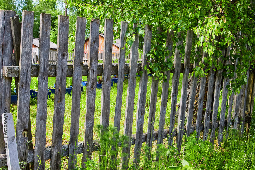 old wooden picket fence amidst the greenery on a summer day. Background, location for outdoor and countryside photography old wooden picket fence amidst the greenery on a summer day. Background, location for outdoor and countryside photography