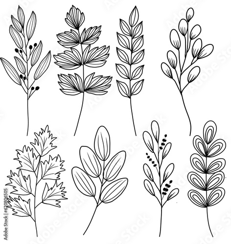 Hand-Drawn Leaf and Flower hand draw line art Illustrations transparent PNG set of branches and elements