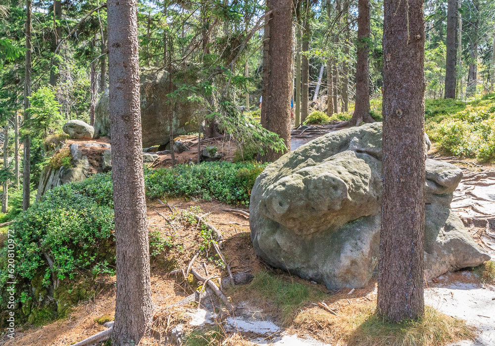 Big boulders on the red hiking trail between the rock towns of Błędne Skały and Szczeliniec Wielki in the Central Sudetes in the Stolowe Mountains (Poland) Big boulders on the red hiking trail between the rock towns of Błędne Skały and Szczeliniec Wielki in the Central Sudetes in the Stolowe Mountains (Poland)