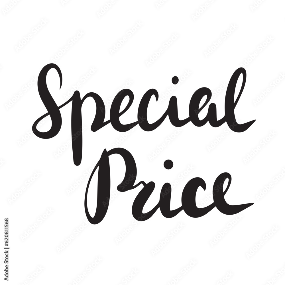 Special price word inscription Vector lettering Hand-drawn calligraphy