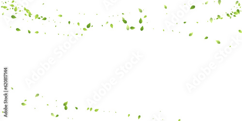 Leaves Green Falling Flying Foliage Leaf Tea Mint