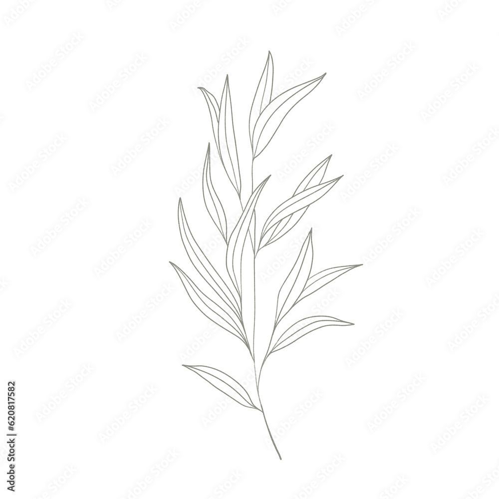 Tropical leaves of hand drawn illustration. Tropical leaves of hand drawn illustration.