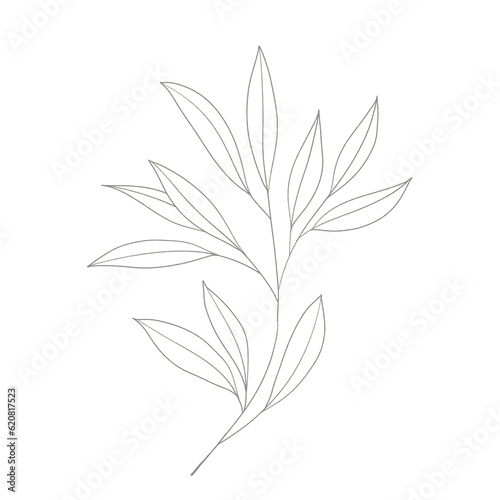 Botanical elegant line art modern style. png illustrations