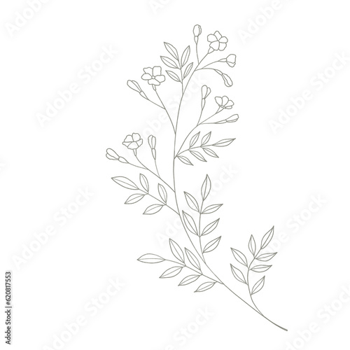 Tropical leaves of hand drawn line art modern style. png illustrations.